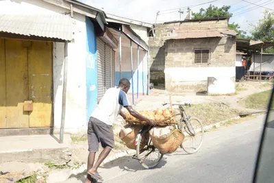 DSC_7553 (Large).JPG